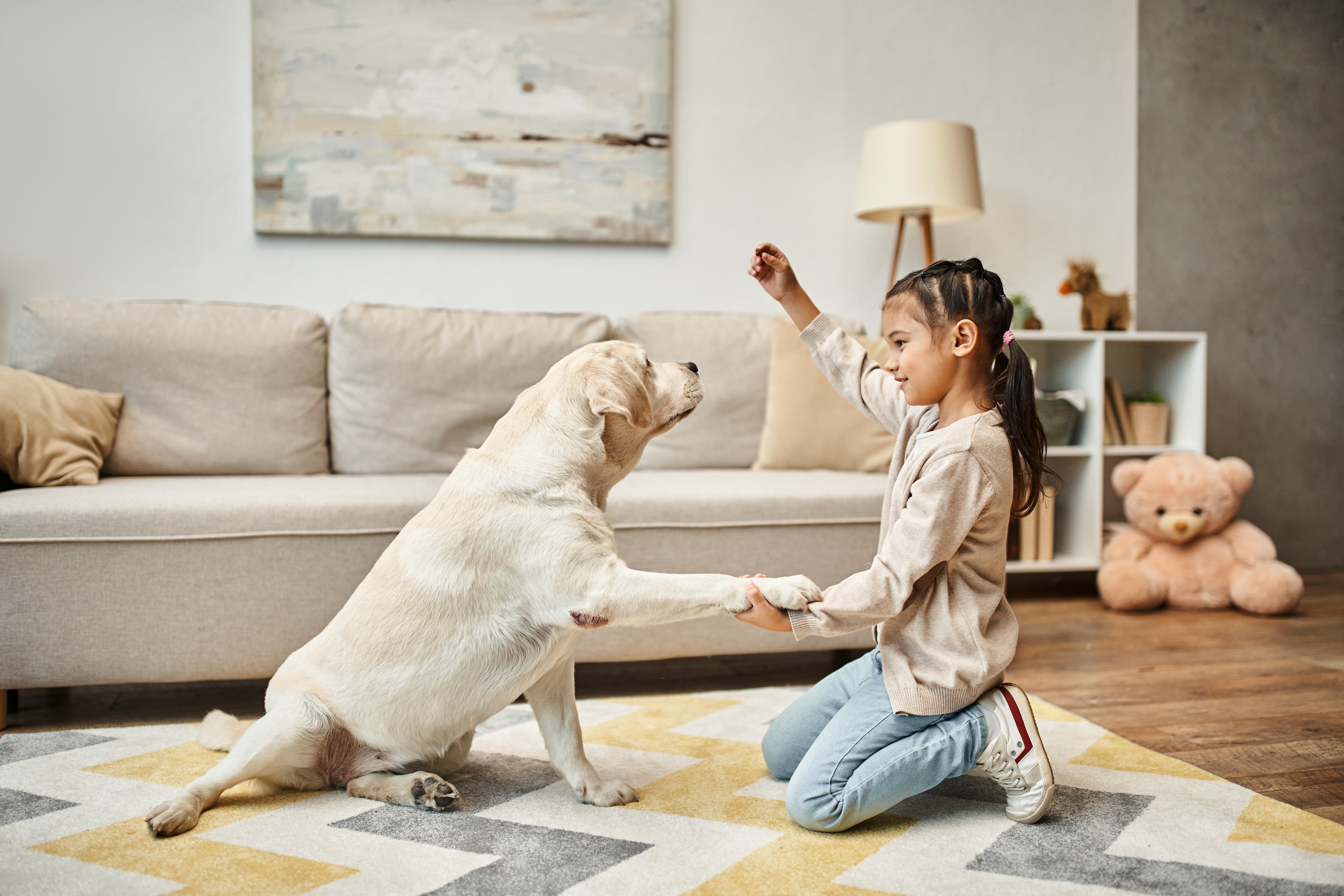 Menina brincando com um cachorro labrador em uma sala de estar, treinando o pet com petiscos de forma divertida e interativa.