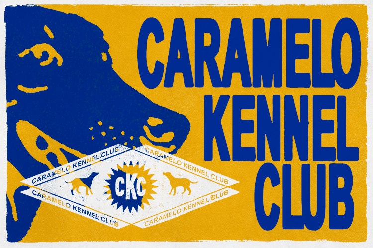 Banner Caramelo Kennel Club, com um cachorro vira-lata caramelo e a logo da campanha