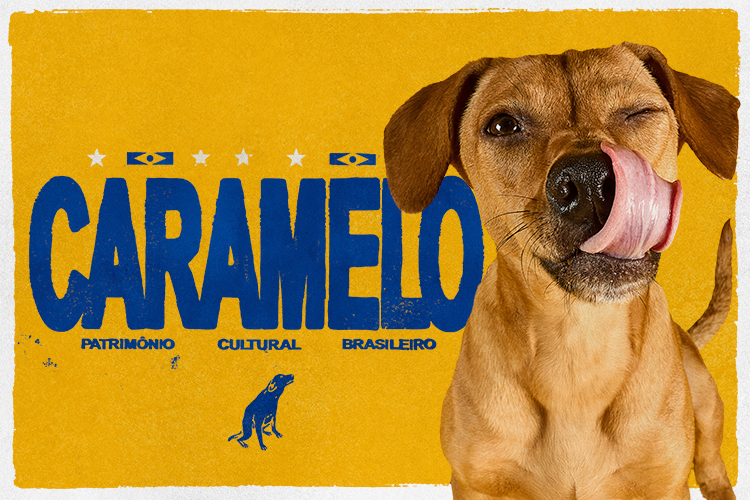 Banner da Campanha Caramelo, com um cachorro vira-lata caramelo dando uma piscada e uma lambida