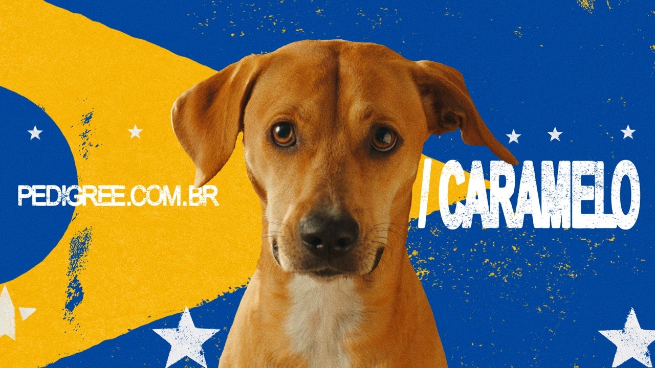 Thumb do vídeo Pedigree Caramelo