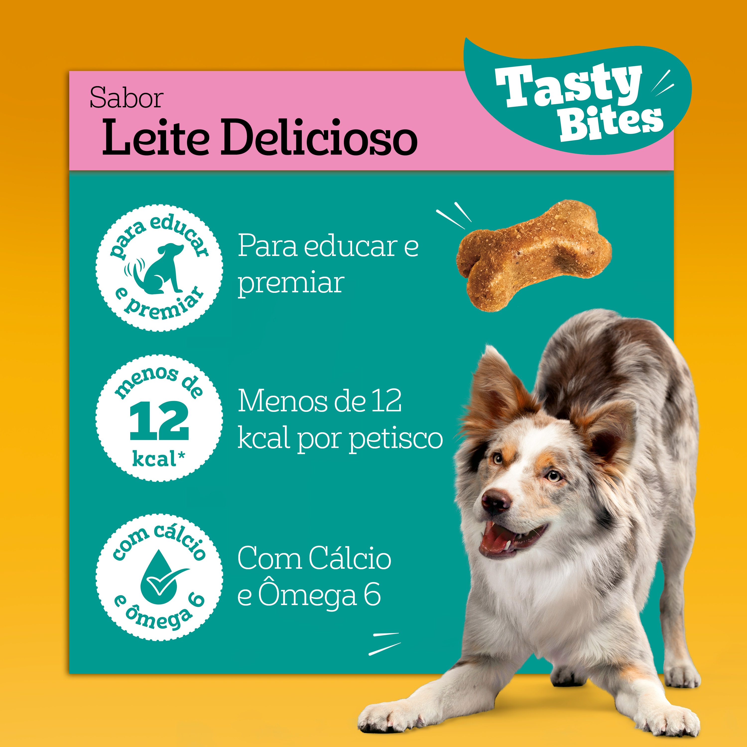 Petisco saudável para cachorro com menos de 12kcal, cálcio e ômega 6