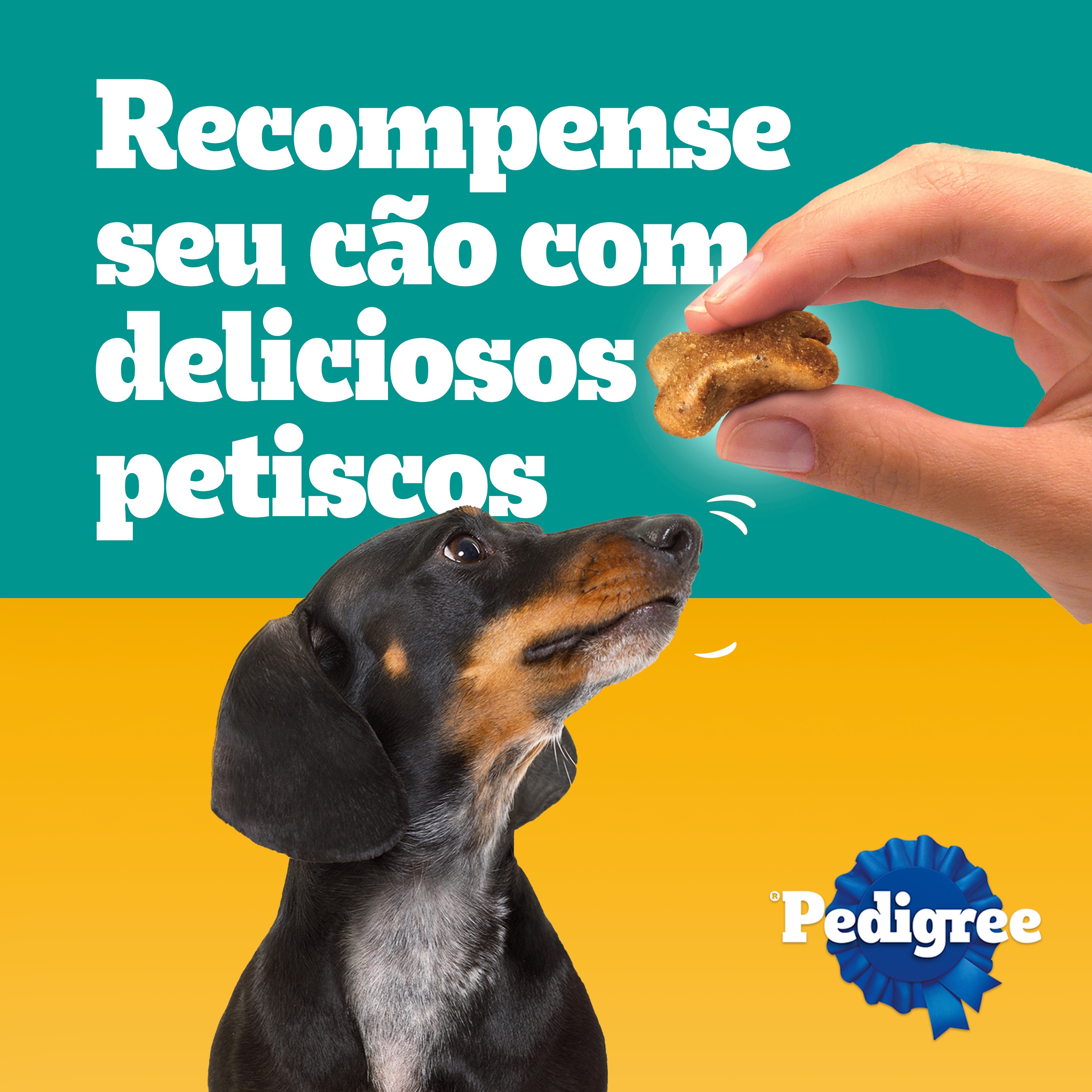 Cachorro sendo recompensado com petisco Tasty Bites
