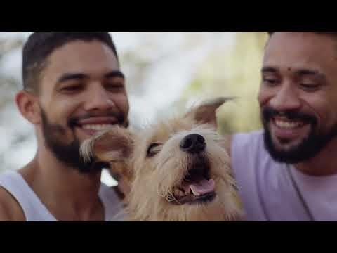 Thumb vídeo adoção