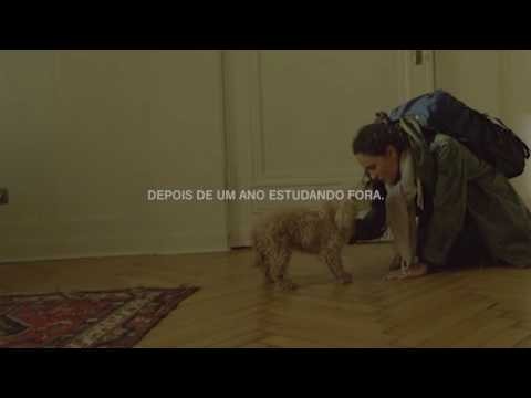 thumb dezembro verde