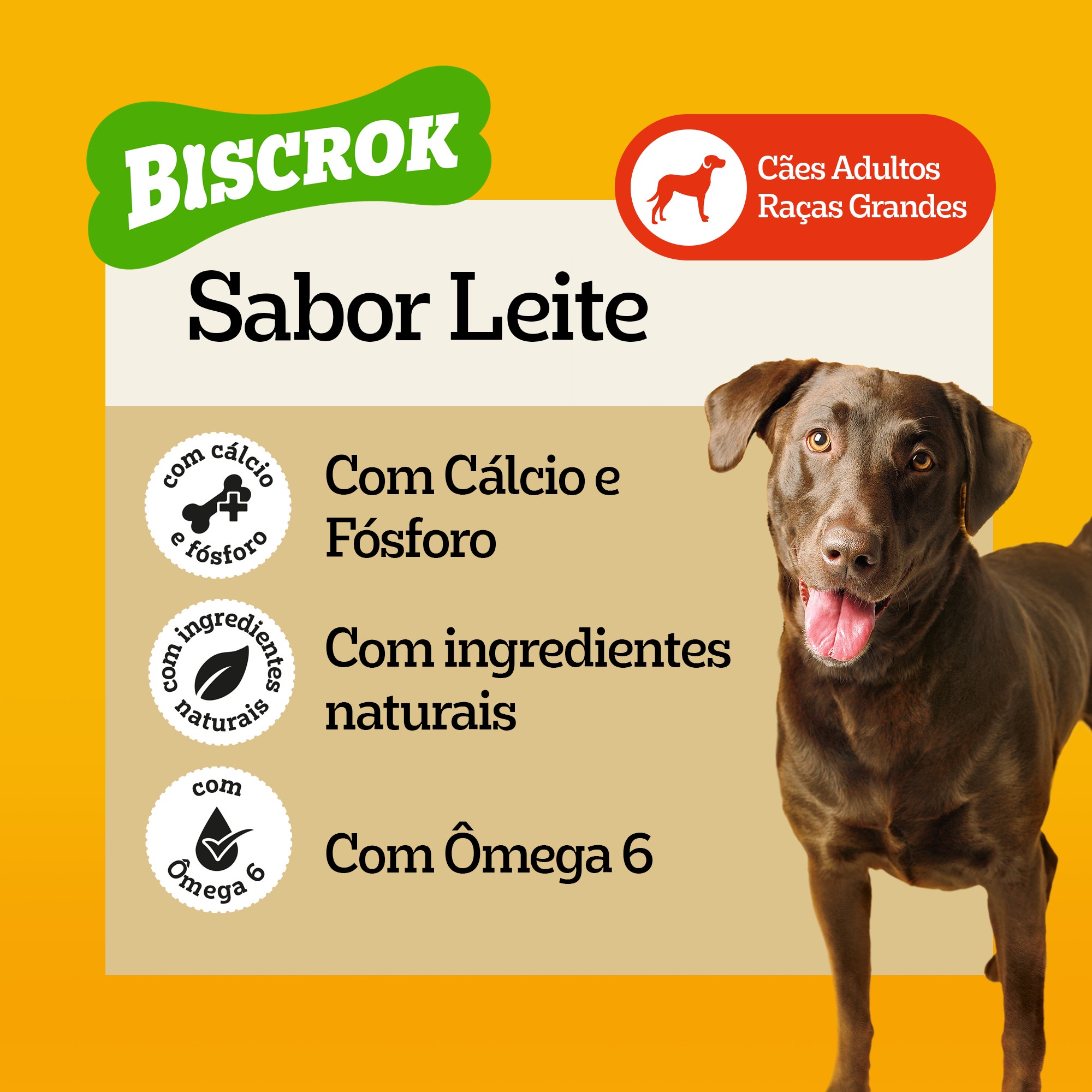  Petisco para cachorro de raças grandes Pedigree Biscrok sabor leite, com cálcio, ômega 6 e ingredientes saudáveis.