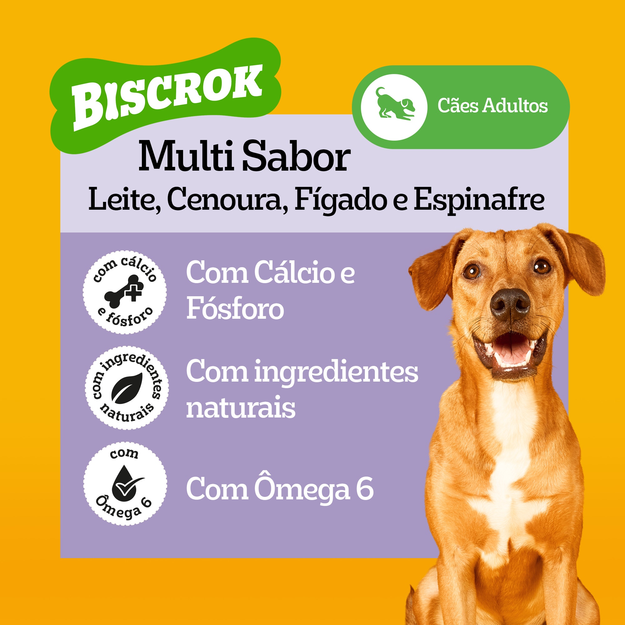 Petisco para cachorro Pedigree Biscrok sabor carne, enriquecido com cálcio, ômega 6 e ingredientes naturais.