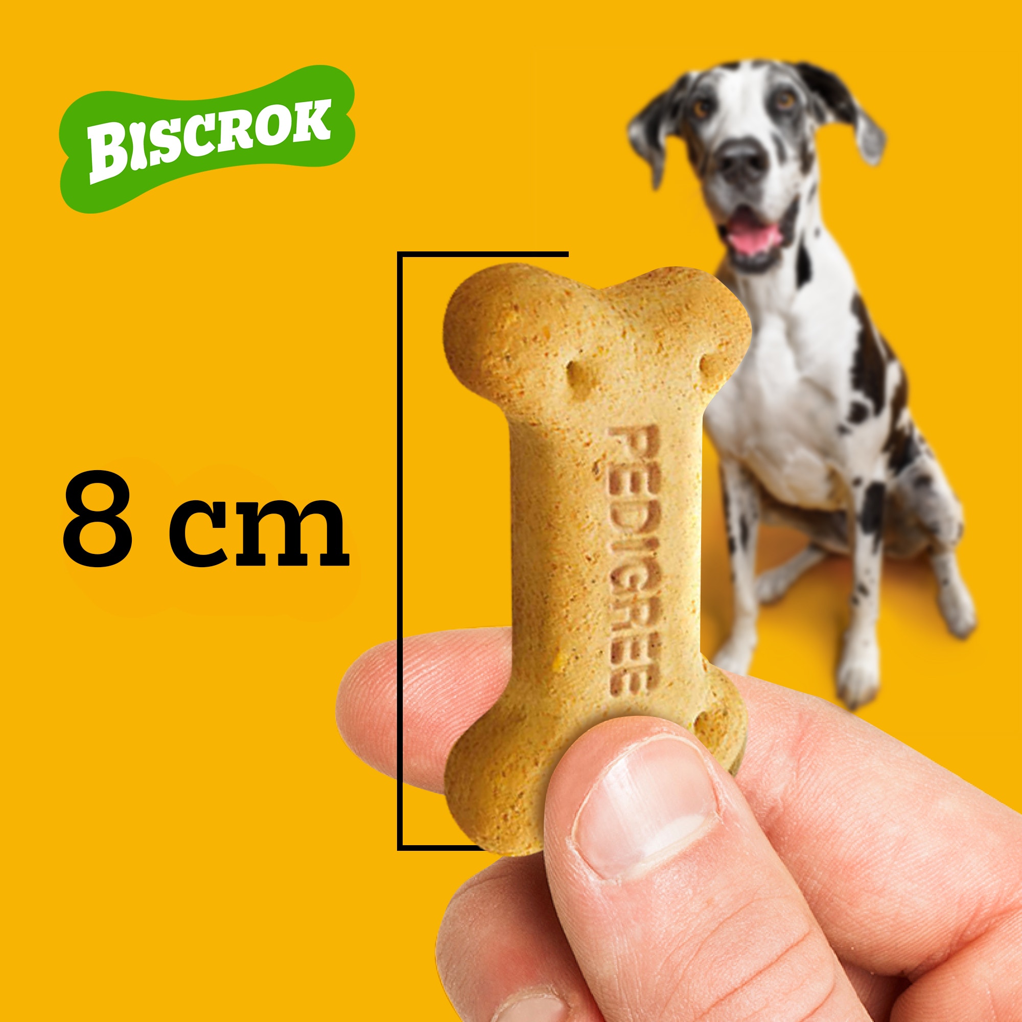Mão segurando um petisco para cachorro de raças grandes Pedigree Biscrok de 8 cm, perfeito para cães maiores.