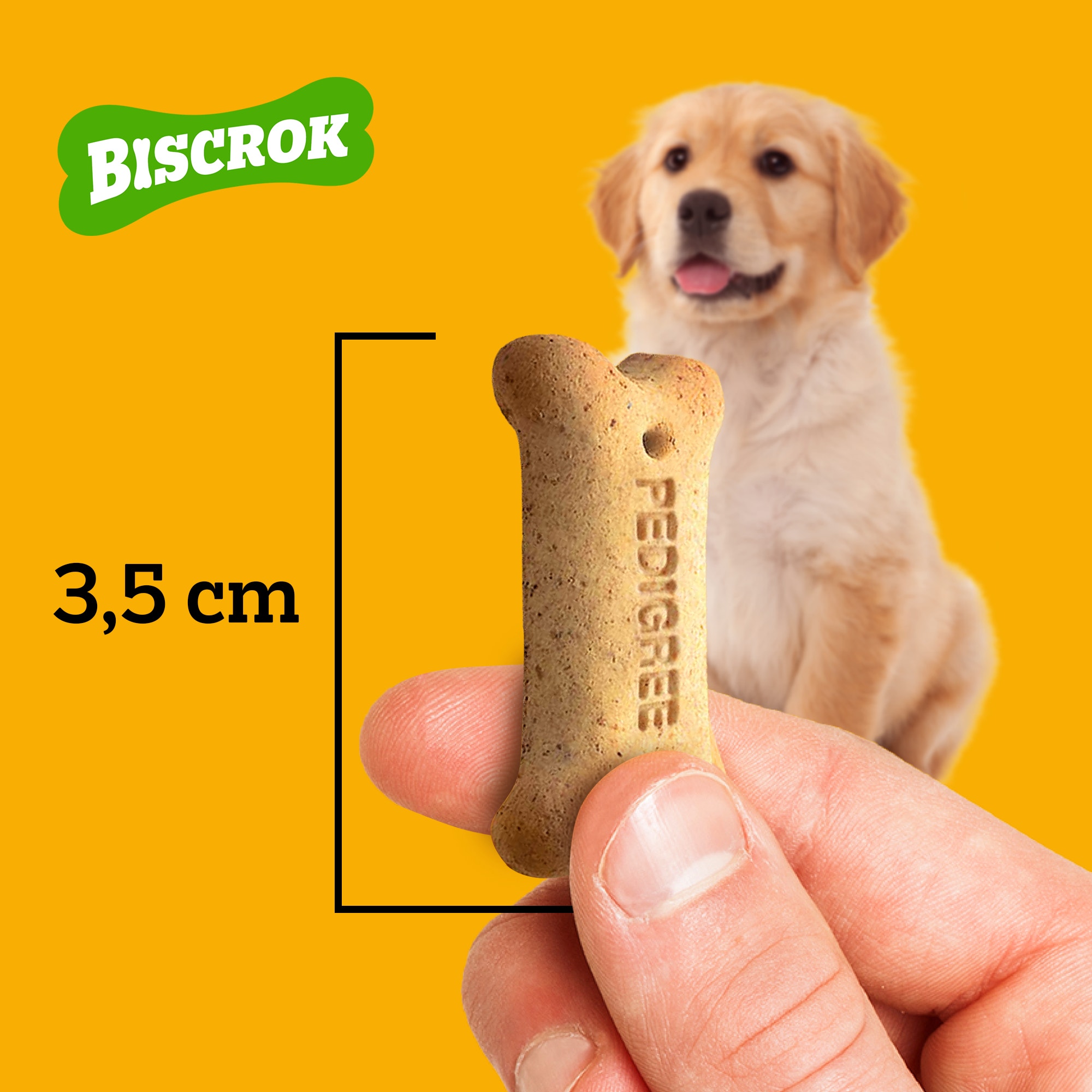 Mão segurando um petisco para cachorro Pedigree Biscrok de 3,5 cm, perfeito para cães de pequeno a grande porte.