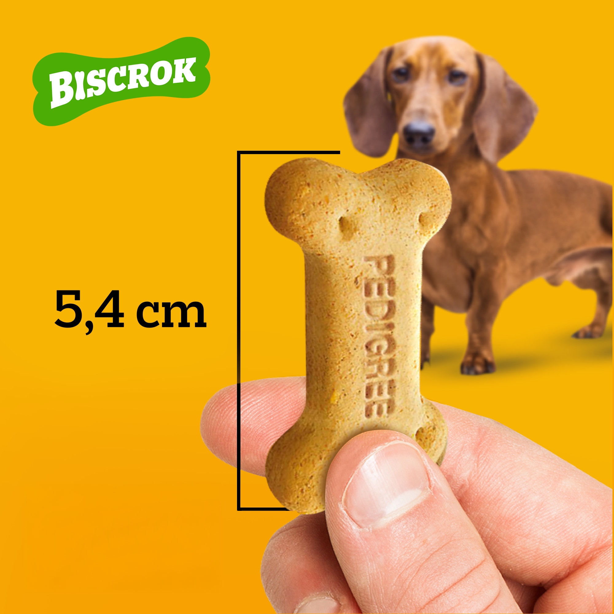 Mão segurando um petisco para cachorro Pedigree Biscrok de 5,4 cm, perfeito para cães de todos os portes.