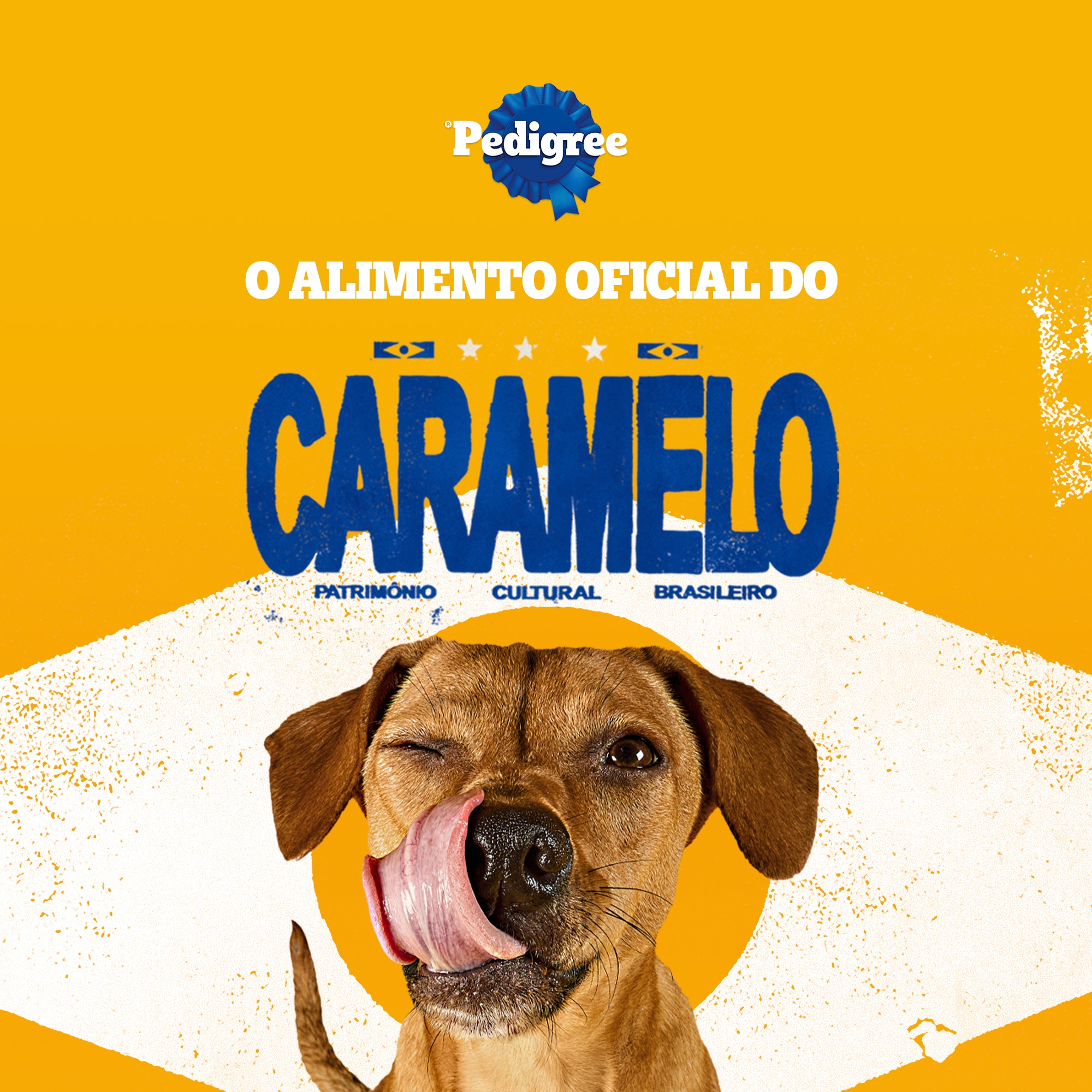 Campanha promocional destacando o Marrobone Pedigree como o snack ideal para cães, perfeito para agradar e nutrir seu cachorro