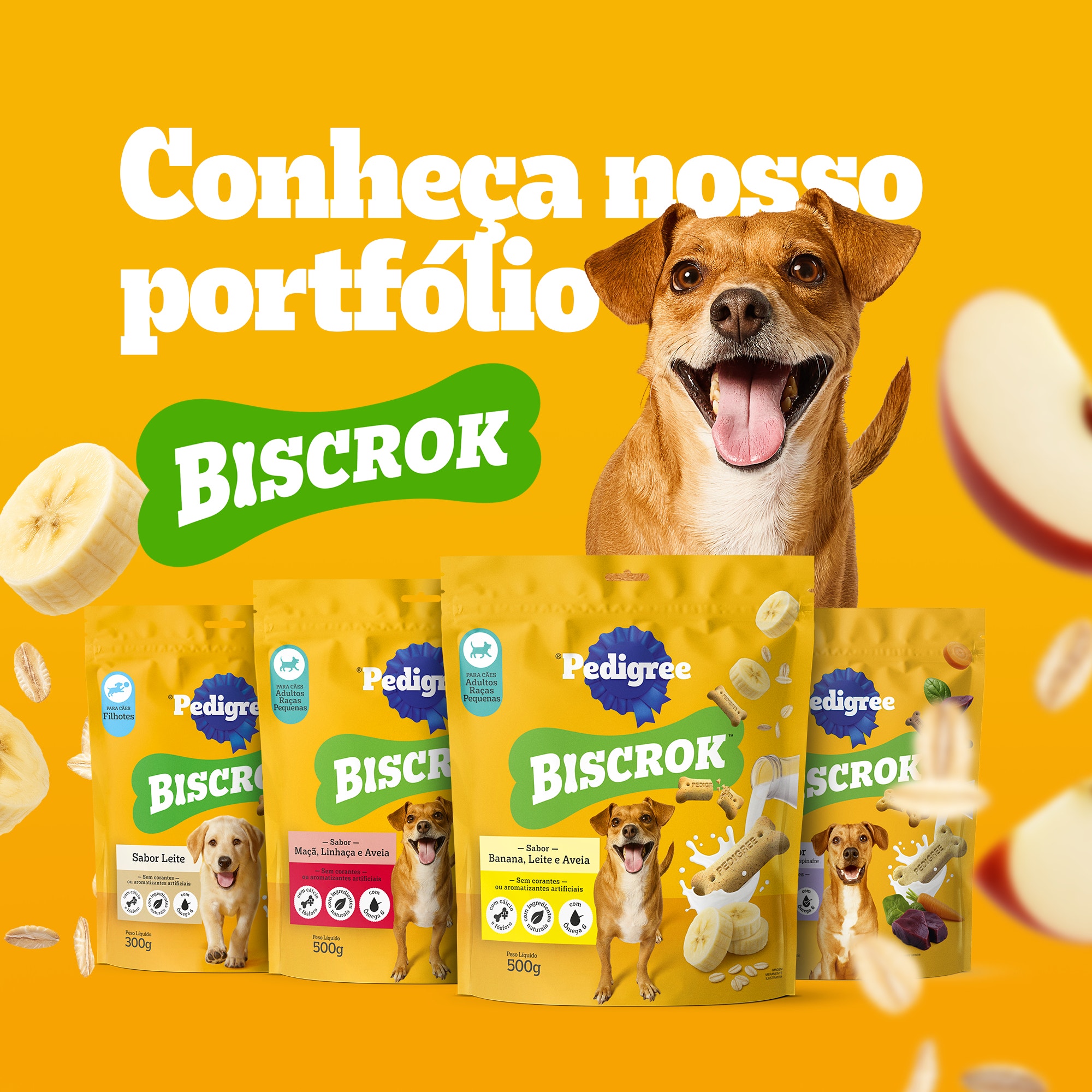 PEDIGREE® Biscrok Adulto Raças Pequenas Sabor Banana, Leite e Aveia