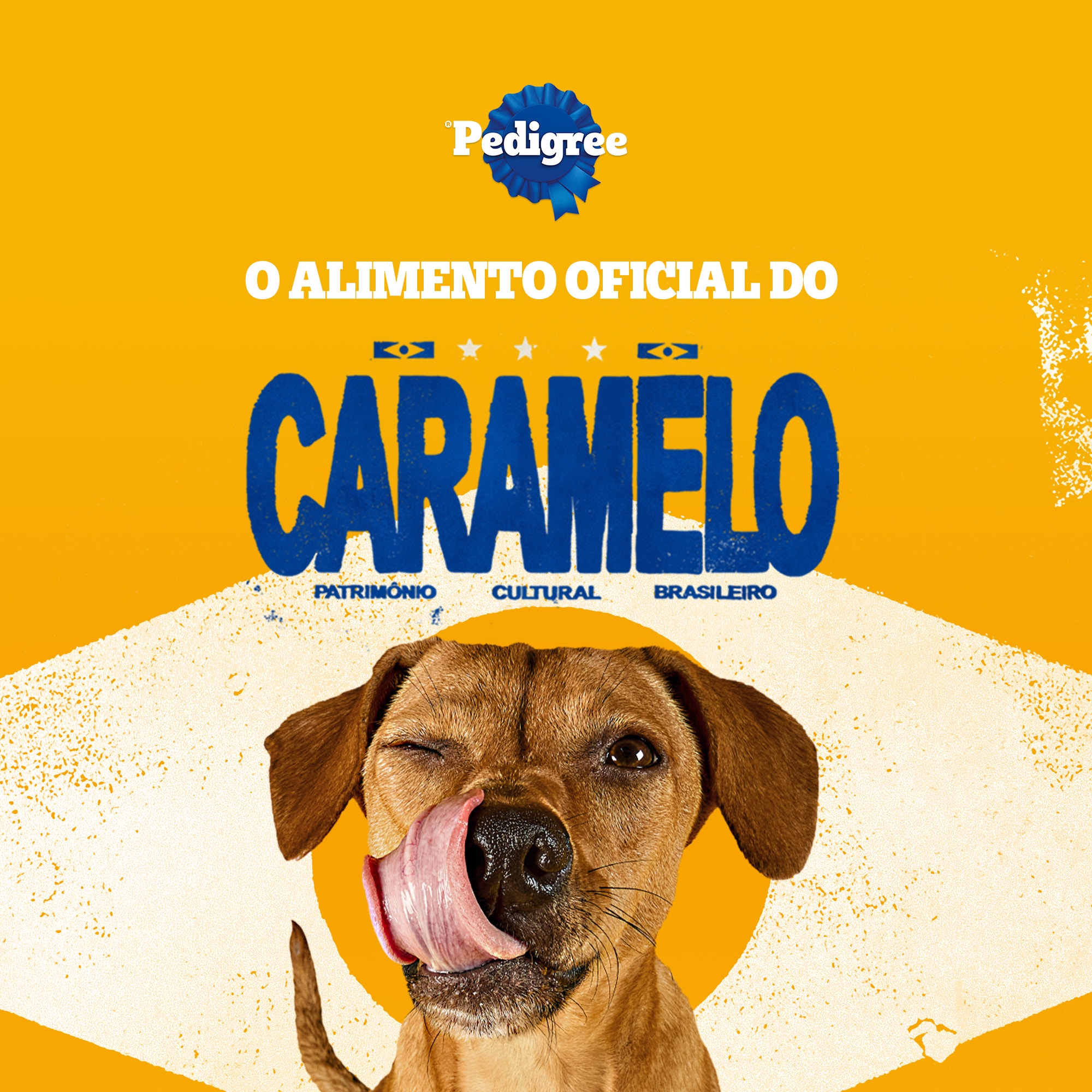 PEDIGREE® Biscrok Adulto Raças pequenas
