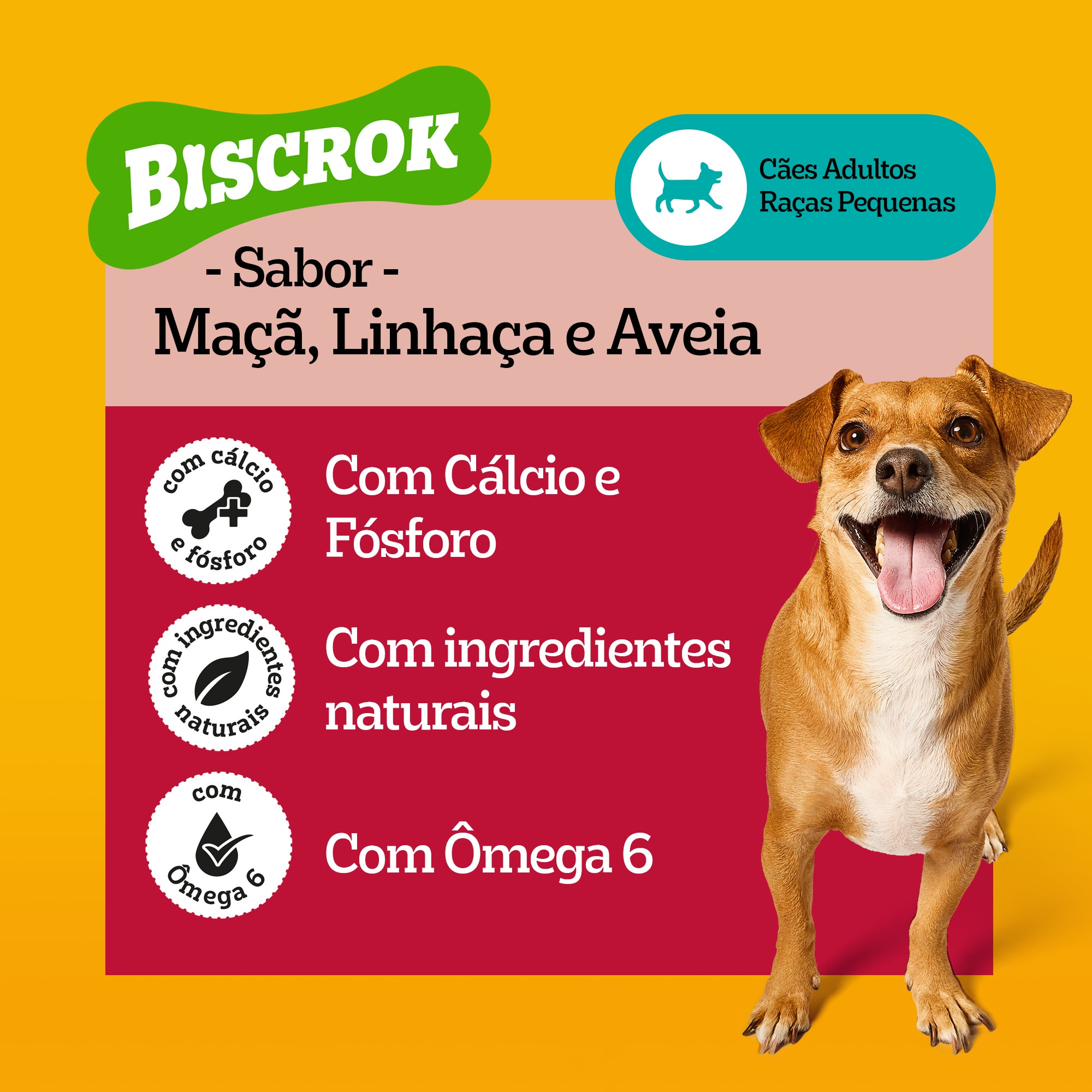 Banner destacando os benefícios do Biscrok, com cálcio, fósforo e ômega 6