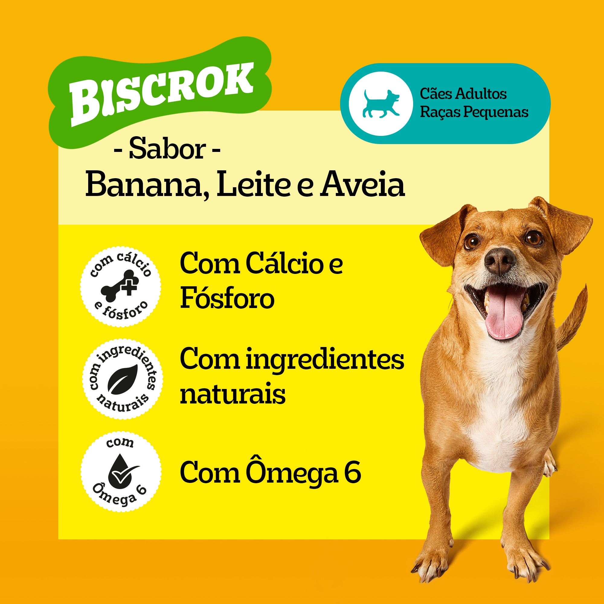 Destaque dos benefícios do Biscrok sabor banana, leite e aveia, com cálcio, fósforo, ingredientes naturais e ômega 6 para cães adultos