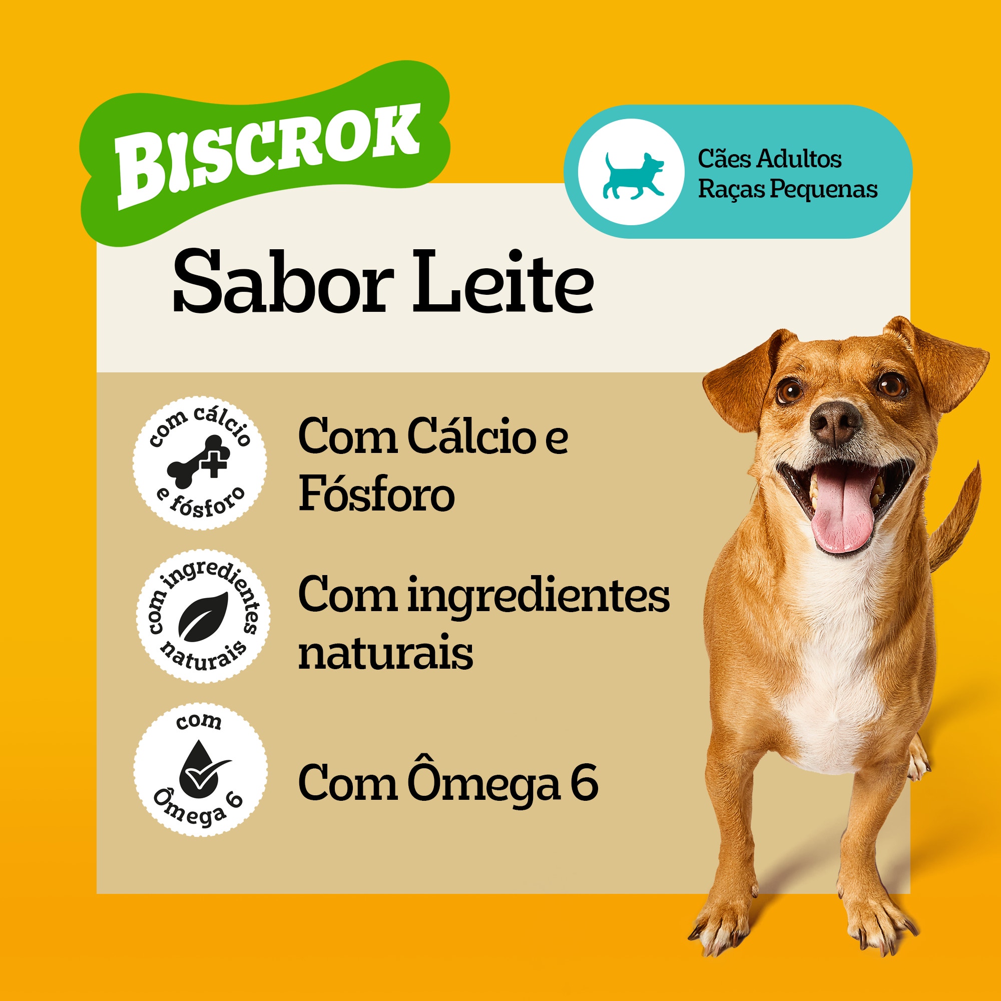 Destaque dos benefícios do Biscrok sabor leite, incluindo cálcio, fósforo, ômega 6 e ingredientes naturais para a saúde dos cães