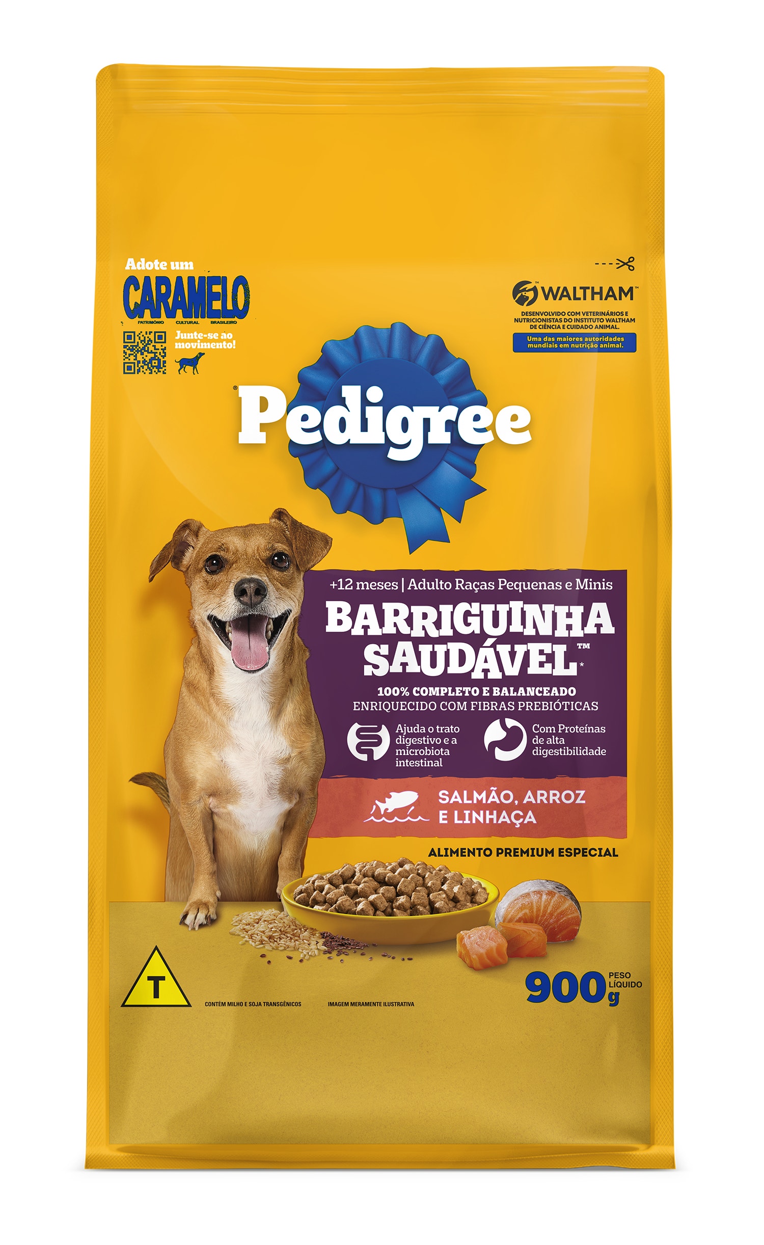 Barriguinha saudável salmão