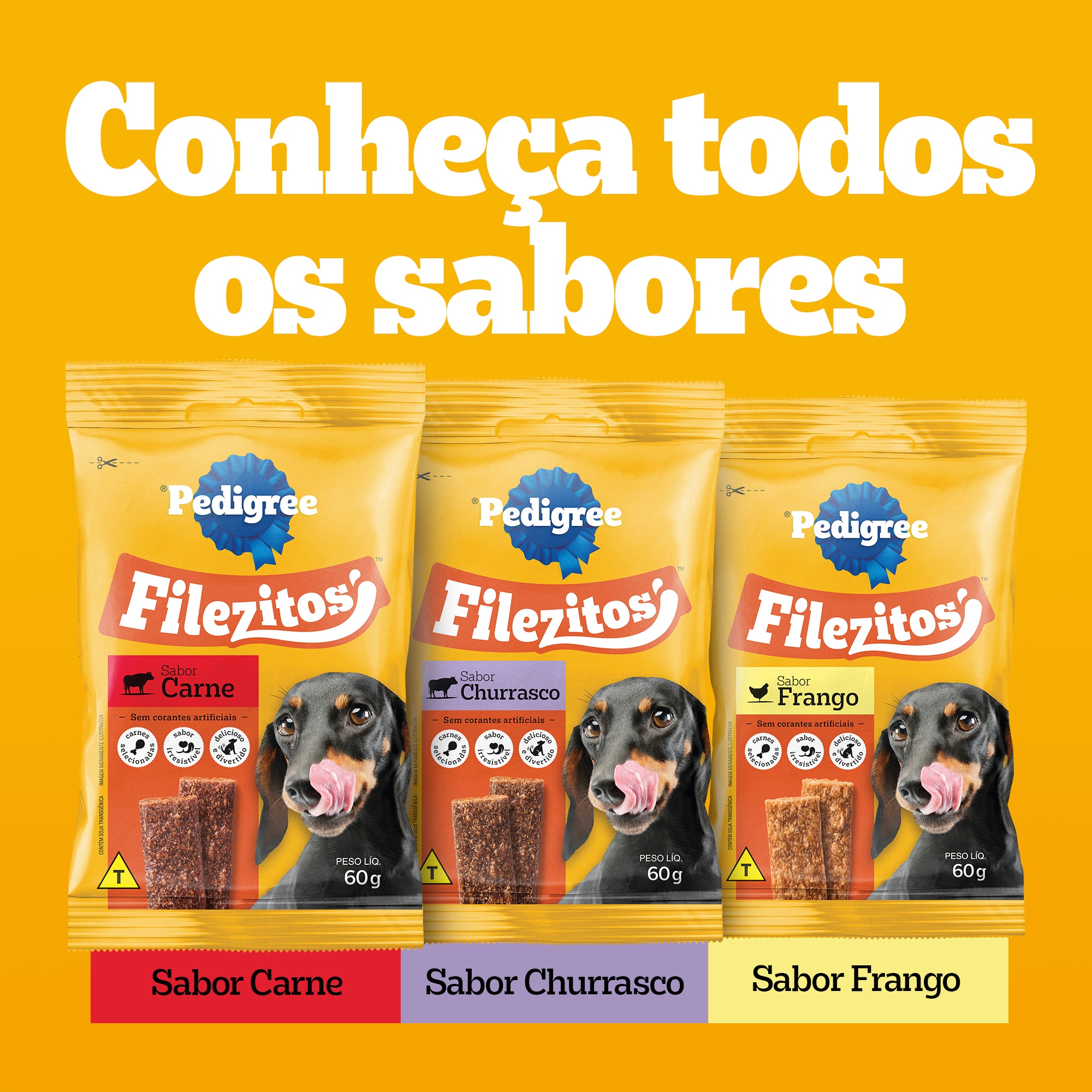 filezitos churrasco