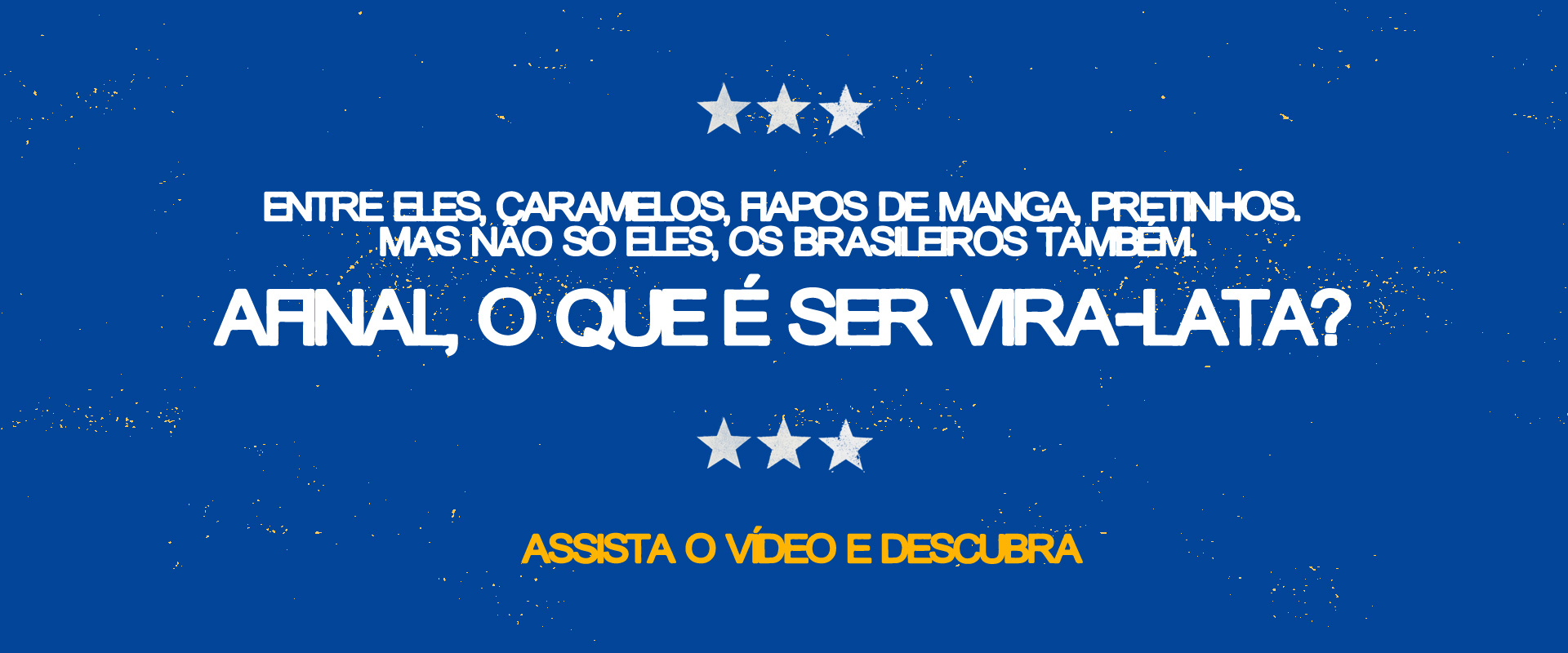 AFINAL, Q QUE E SER VIRA-LATA?