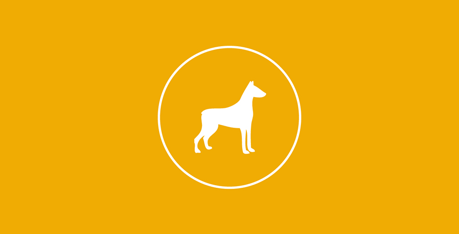 Saiba mais ícone de cachorro