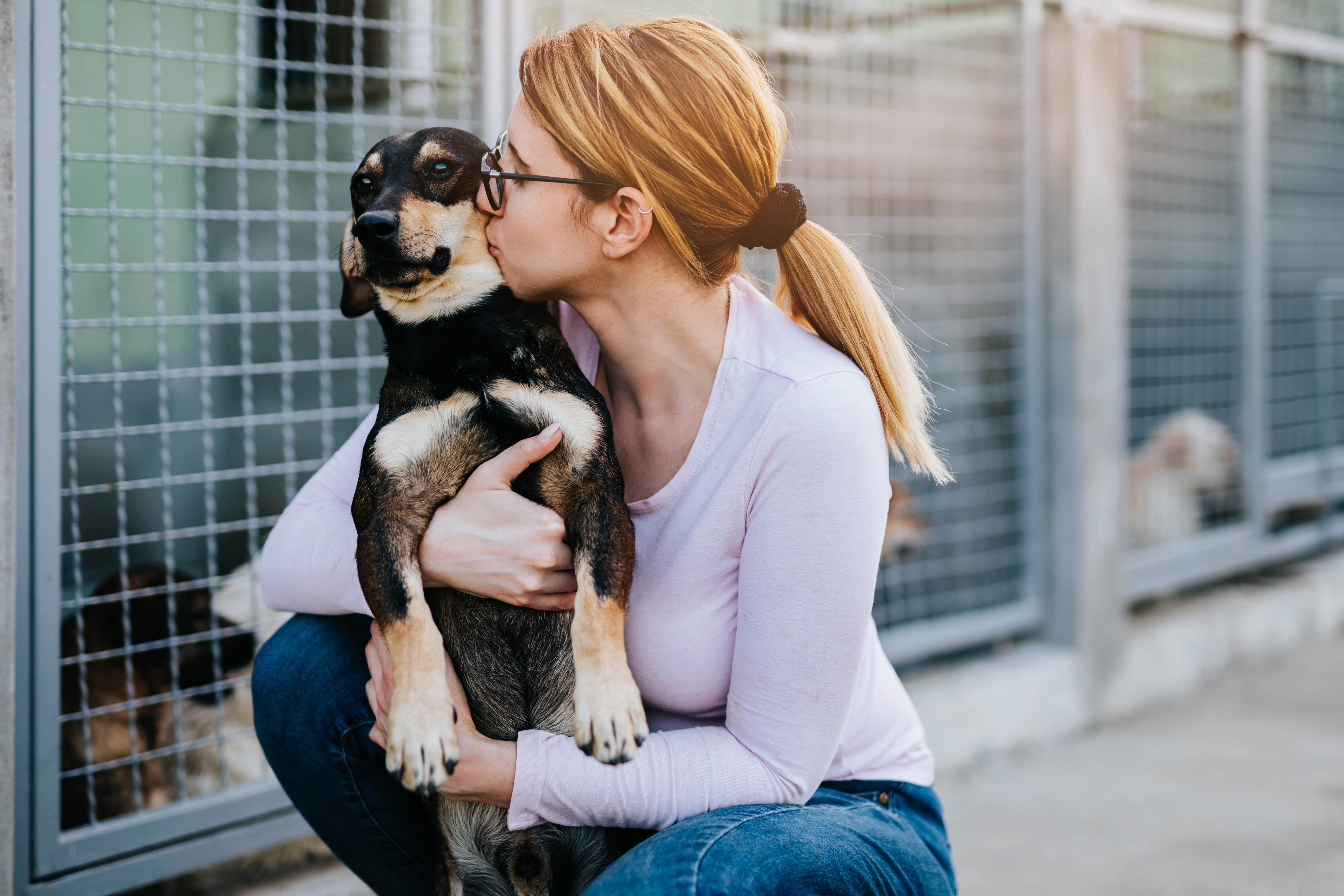 Cachorro sendo abraçado e beijado por uma mulher em um abrigo