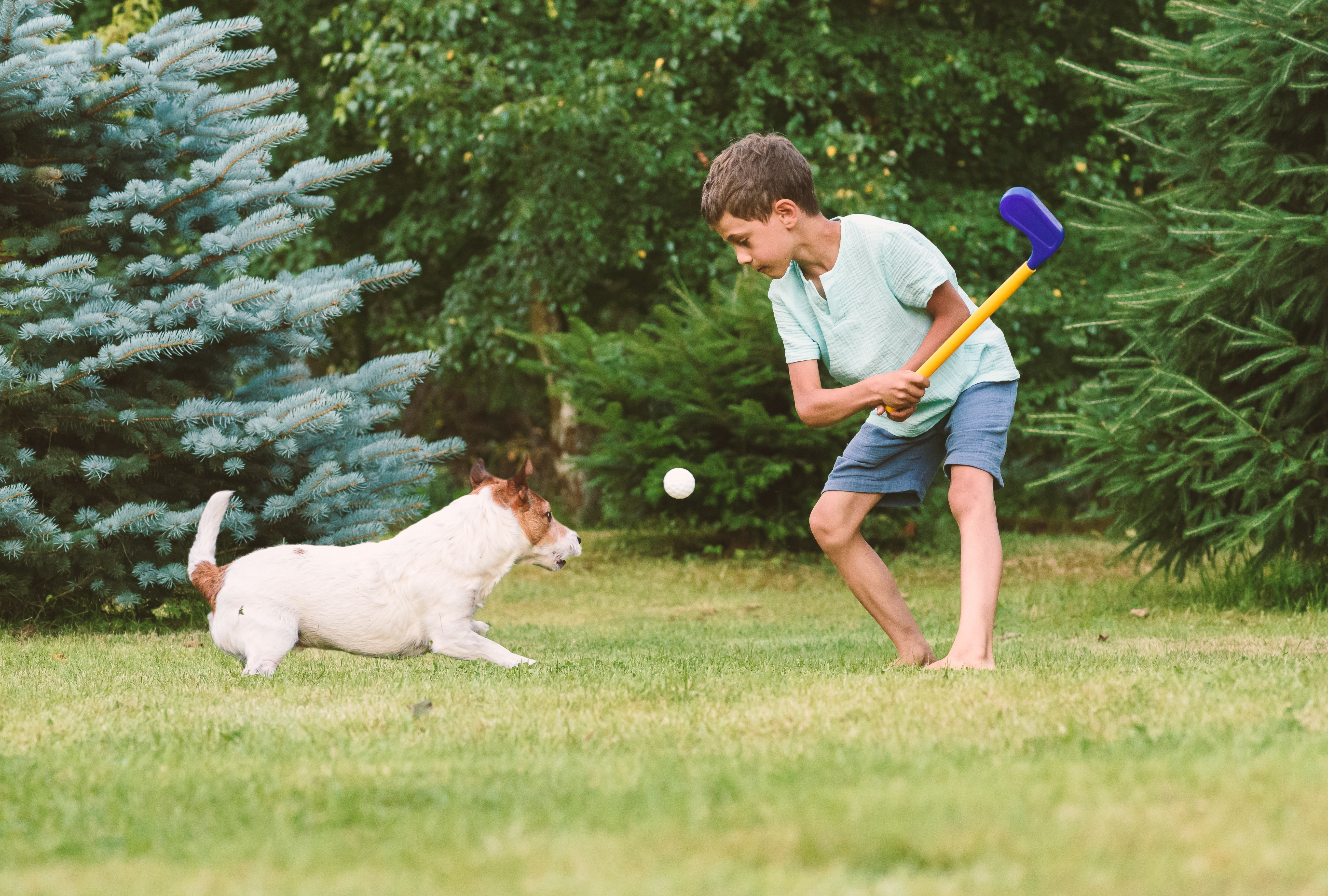 Menino brinca com cachorro da raça Jack russell terrier ao ar livre com uma bolinha e um taco de beisebol de brinquedo.
