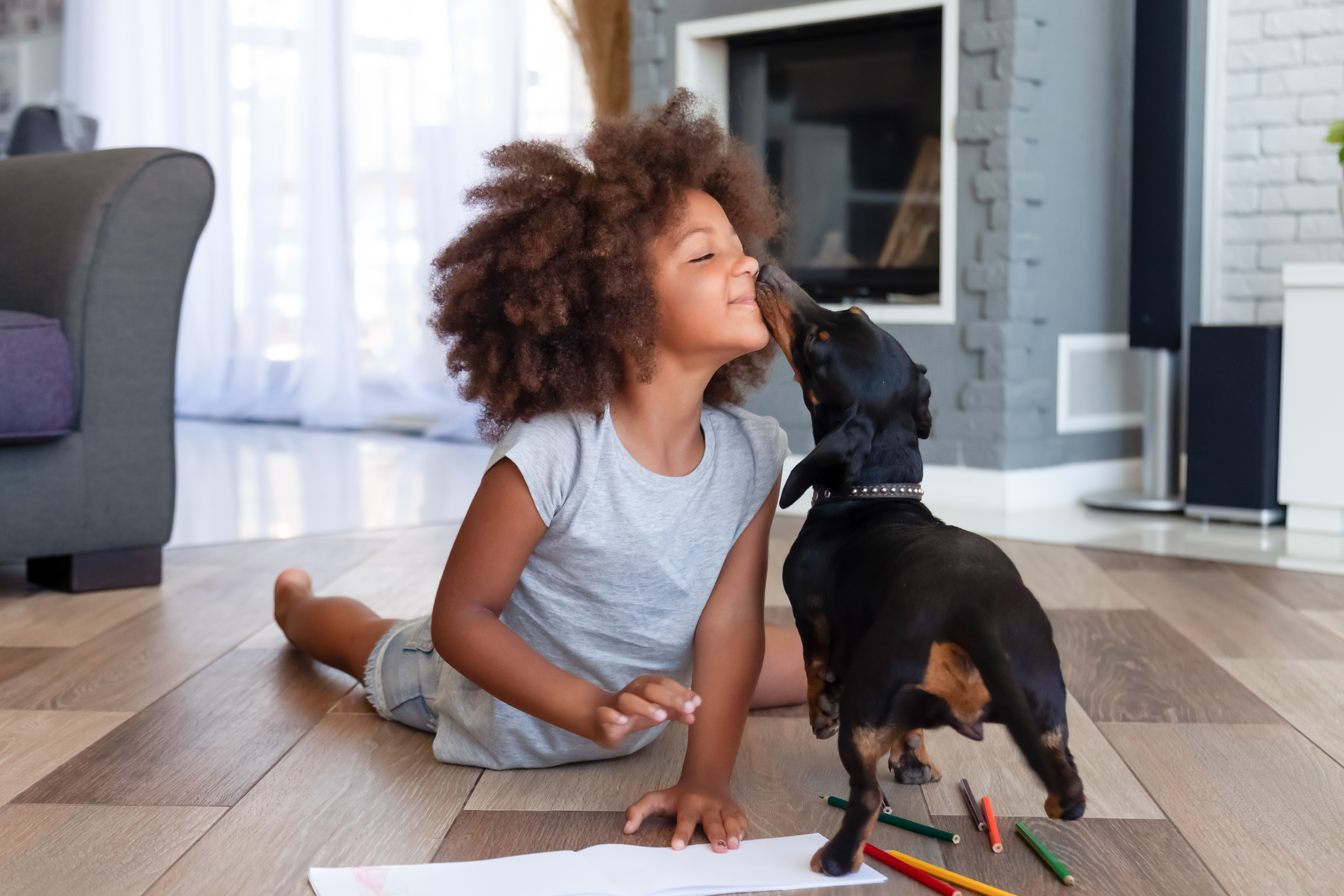 Cachorro da raça Dachshund de pelagem preta e marrom interagindo com uma criança em um ambiente interno, com lápis de cor espalhados no chão.
