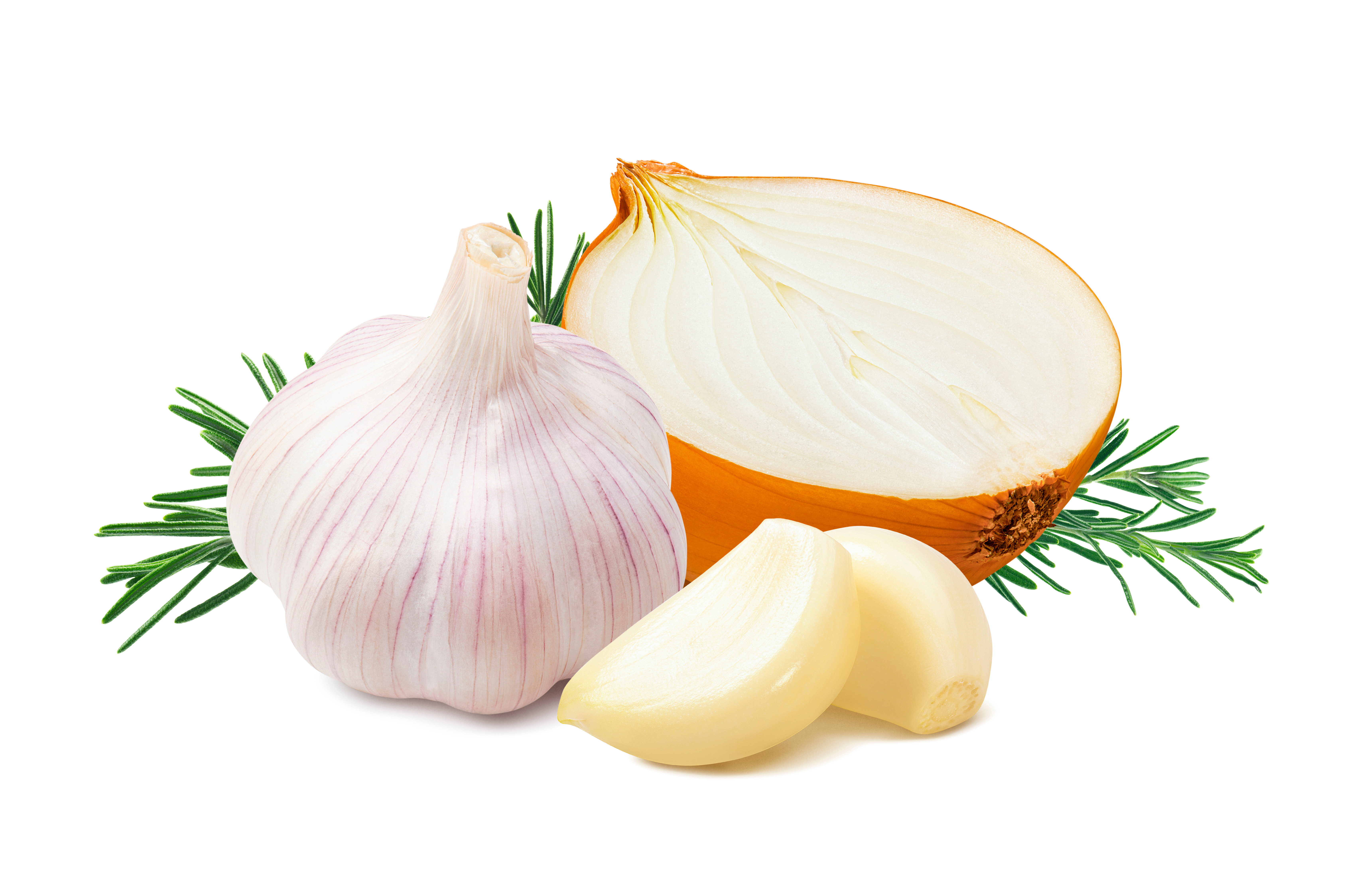 Cabeça de alho, dentes de alho descascados, meia cebola cortada e ramos de alecrim dispostos sobre um fundo branco.