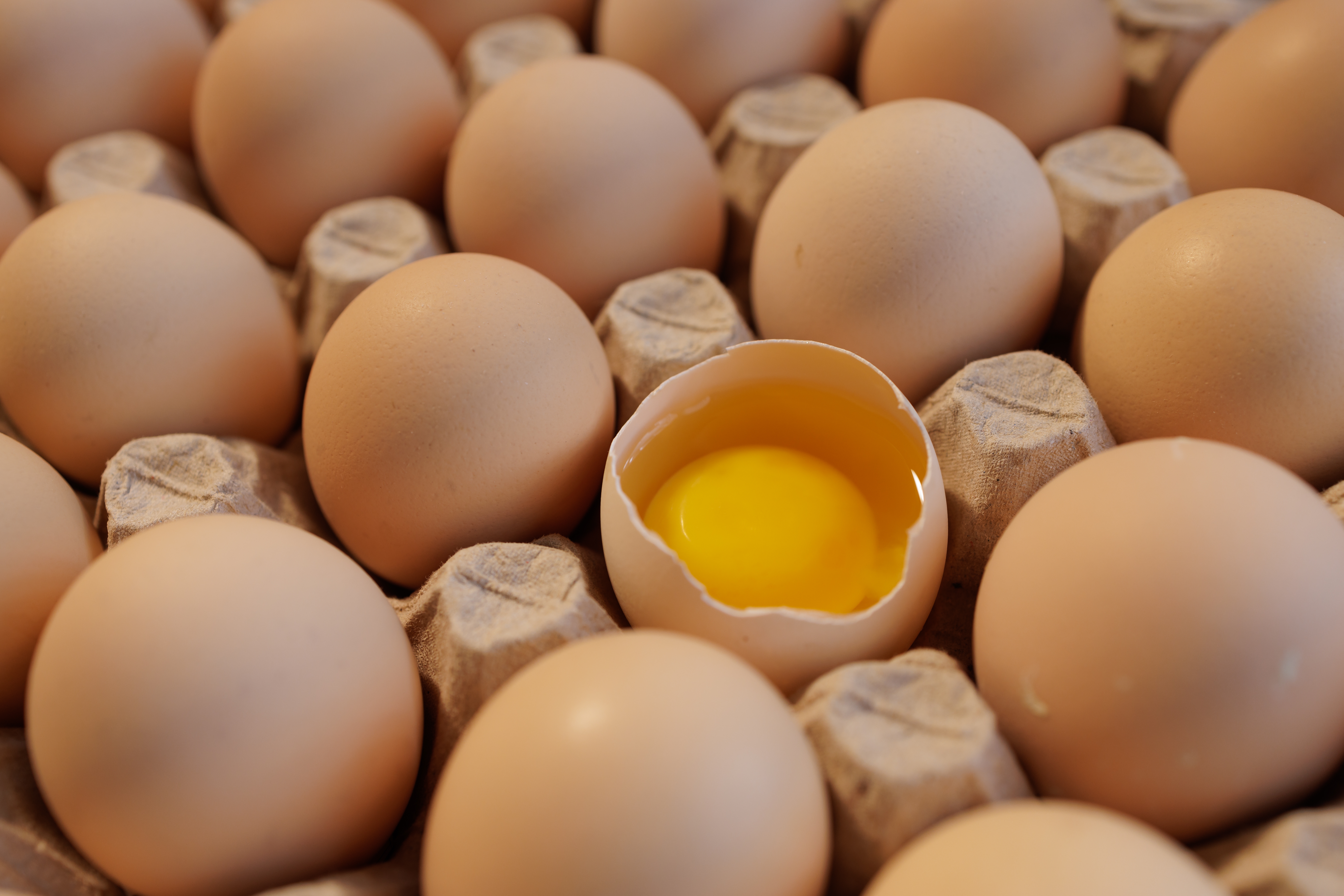 Vários ovos marrons em uma embalagem de papelão, com um ovo quebrado exibindo a gema amarela.