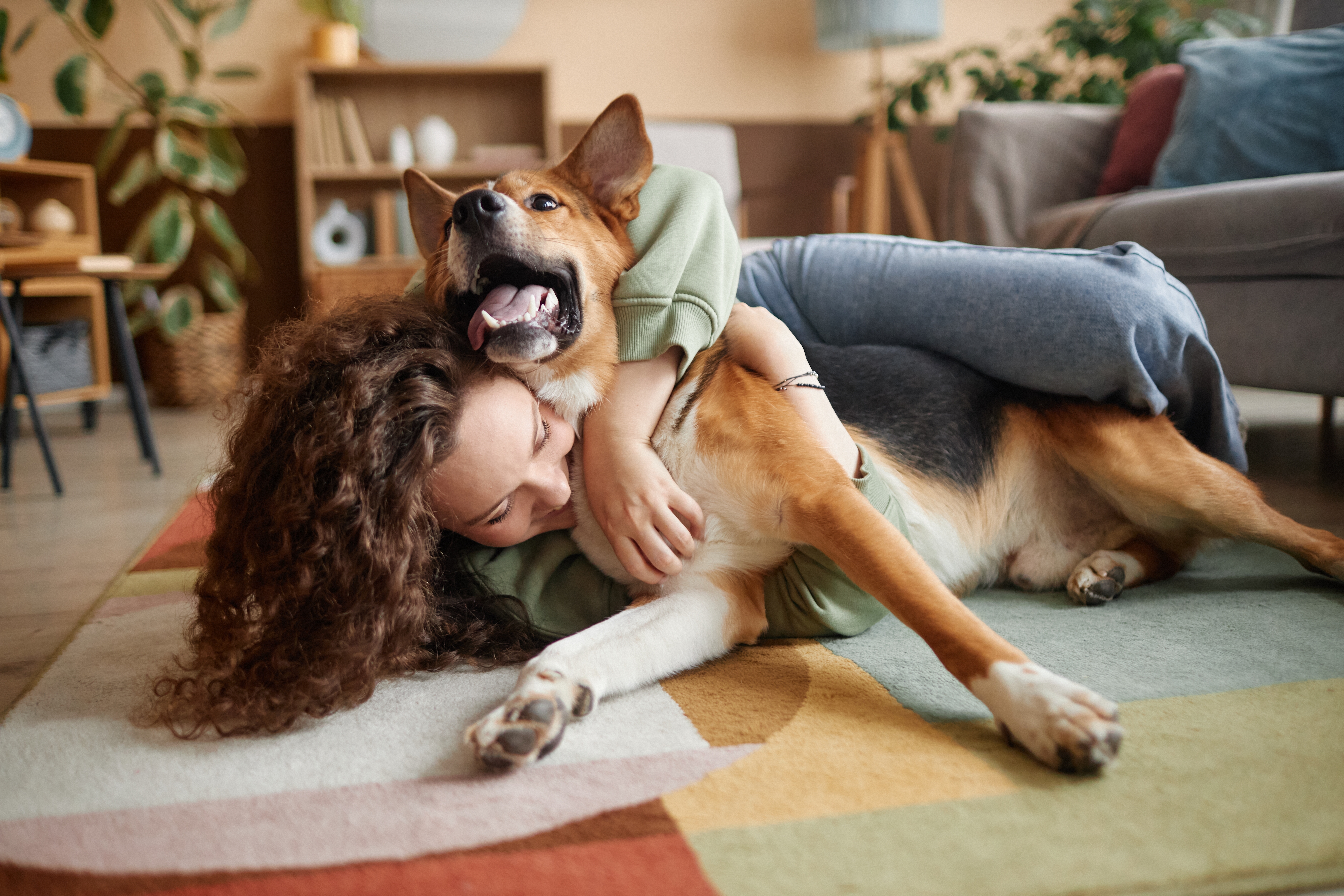 Pessoa deitada no chão abraçando um cachorro de porte médio com pelagem marrom e branca, em um ambiente interno aconchegante com móveis e plantas ao fundo.