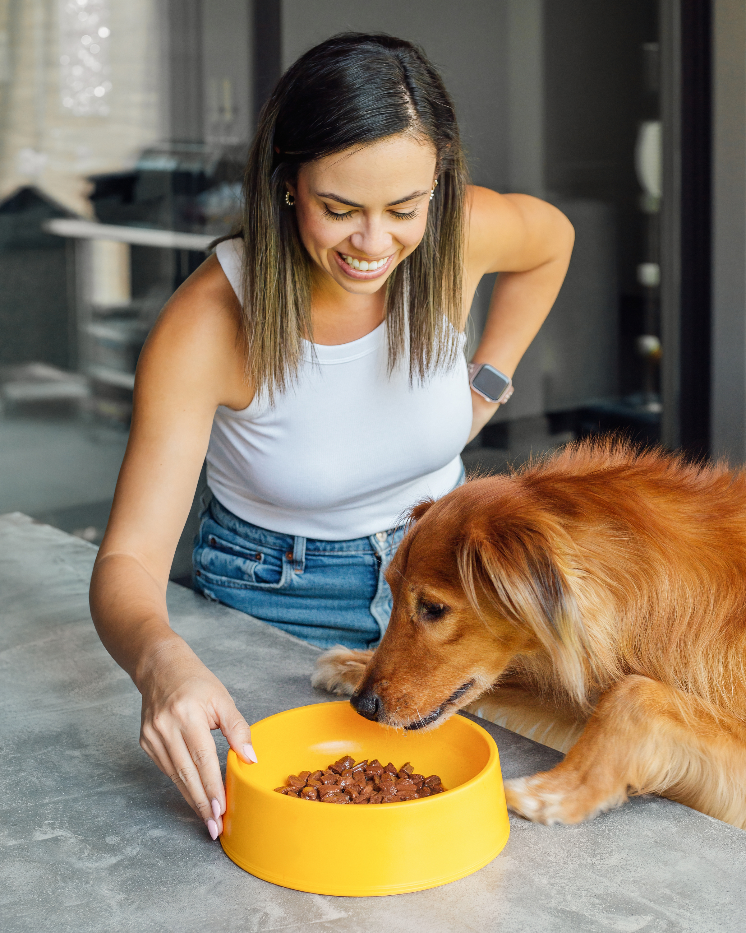 Cachorro caramelo comendo ração úmida Pedigree Sachê em pote amarelo