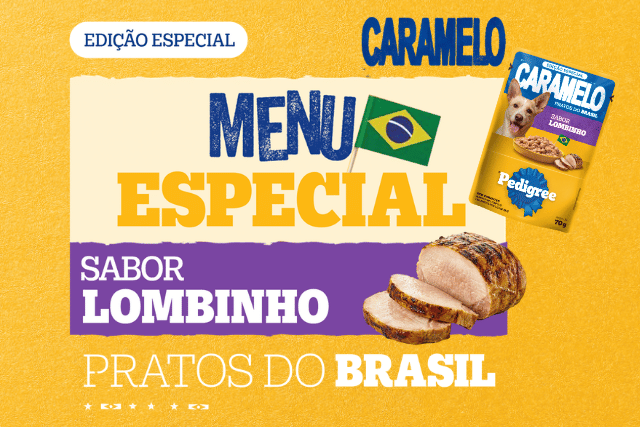 Sachê Pedigree Caramelo Pratos do Brasil sabor lombinho 70 g para cães adultos