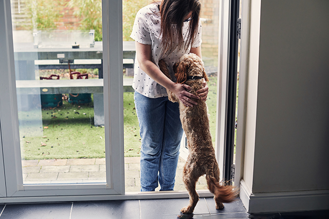 Um cachorro pula sobre uma mulher na entrada de uma casa. Ela o afaga.