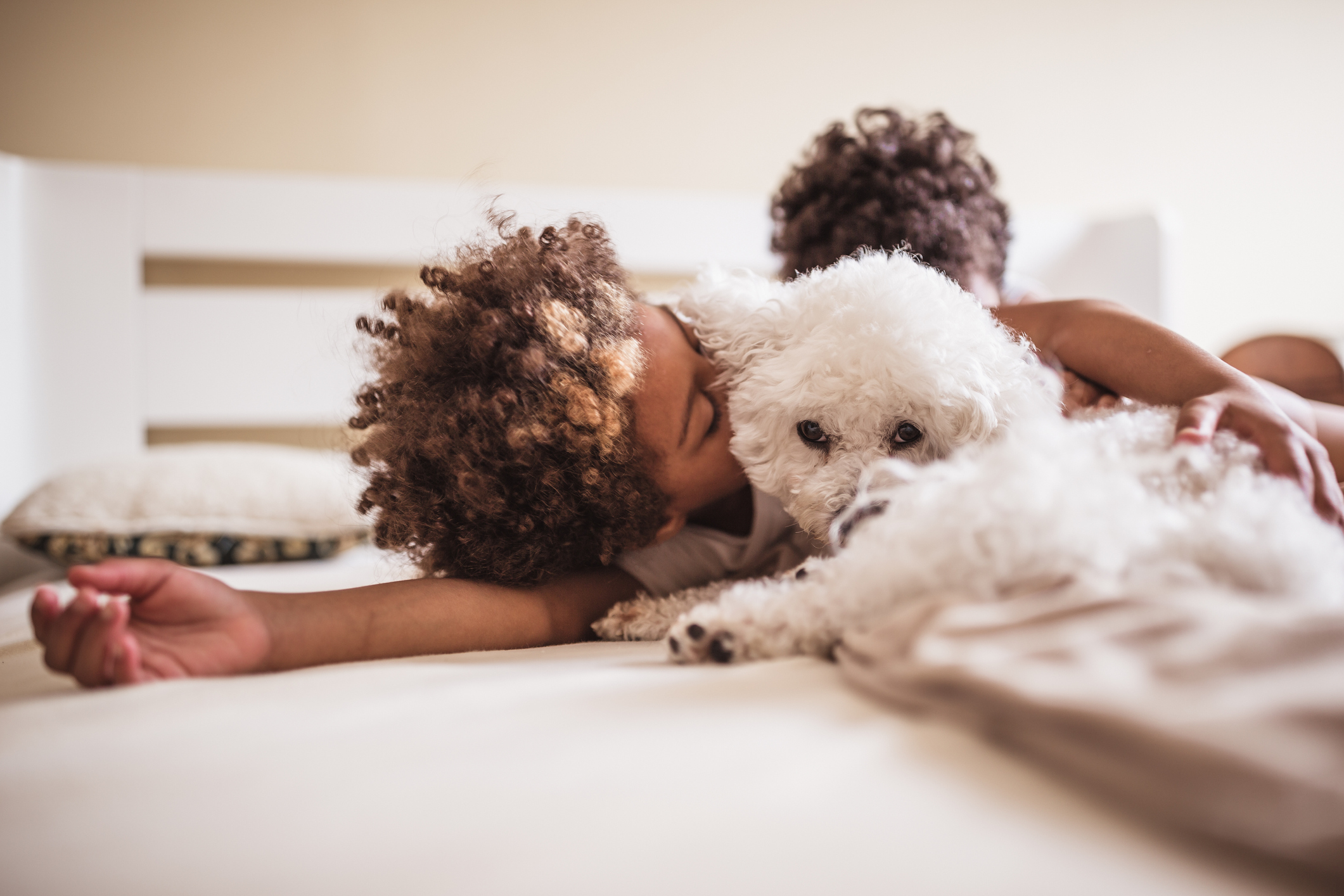 Uma criança deitada e abraçada com um cachorro branco de pelo enrolado.