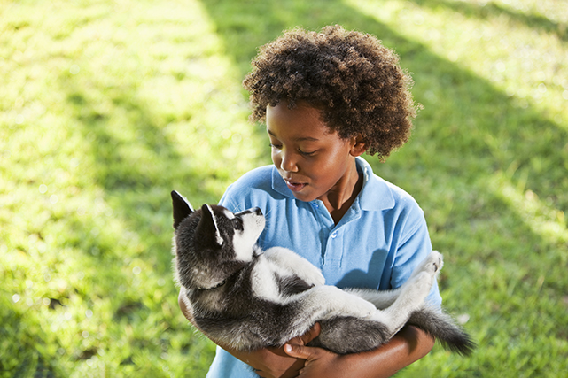 uma criança segura um husky siberiano filhote no colo, com um gramado esverdeado ao fundo.