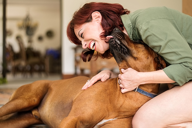 Uma mulher acaricia um cão marrom de grande porte, no chão, enquanto parece rir.